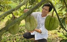 Tin tức đặc biệt trên báo in Thanh Niên 12.11.2023