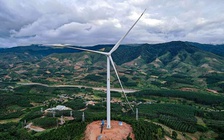 Phạt công ty lấn chiếm đất rừng làm điện gió