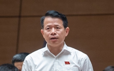 Sử dụng trâu, bò chở hàng hóa có áp quy định luật Đường bộ không?