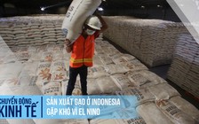 Sản xuất gạo ở Indonesia gặp khó vì El Nino