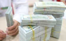 Giá USD hôm nay 15.12.2023: Đồng loạt sụt giảm mạnh