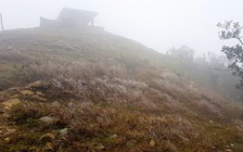 Miền Bắc rét đậm, đỉnh Mẫu Sơn lạnh 1,2 độ C