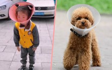 Tranh cãi chuyện ông bắt cháu đeo vòng cổ chó để 'cai nghiện' điện thoại