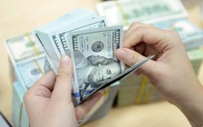 Giá USD hôm nay 30.12.2023: Tăng 2,7% trong cả năm 2023