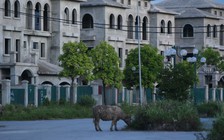 Chính phủ 'giục' bộ ngành, địa phương lấy ý kiến nhân dân sửa luật Đất đai