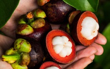 4 lợi ích sức khỏe ít người biết của trái măng cụt