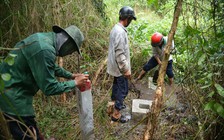 TP.HCM quyết liệt triển khai giải phóng mặt bằng Vành đai 3