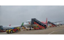 Khỉ vàng 2 lần 'lọt' vào sân bay Nội Bài, Cục Hàng không chỉ đạo khẩn