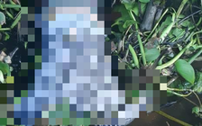 TP.HCM: Phát hiện thi thể người đàn ông trôi dạt trên sông Sài Gòn