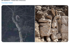 Tổng thống Mexico đăng ảnh ‘thần rừng’