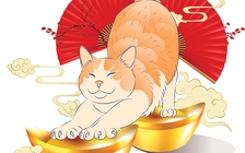 Tử vi hằng ngày - Xem tử vi vui 12 con giáp ngày 4.2.2023