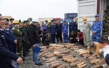Hải Phòng: Phát hiện, bắt giữ gần nửa tấn ngà voi nhập lậu
