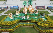 Các linh vật Mèo xuân Quý Mão ở Bình Định sẽ được bàn giao hướng xã hội hóa