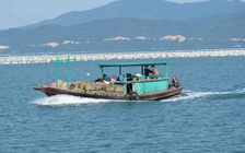 Quảng Ninh: Đắm tàu ở Vân Đồn, 1 ngư dân tử nạn