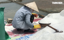 Quảng Ngãi: Giá muối tăng kỷ lục, diêm dân không có muối để bán