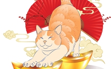 Tử vi hằng ngày - Xem tử vi vui 12 con giáp ngày 8.2.2023