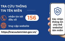 Từ hôm nay 1.3, có thể tra cứu thông tin tên miền qua đầu số 156