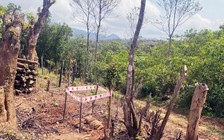 Phát hiện bom chùm, đạn cối trong rừng tràm của người dân ở Quảng Trị