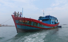 Bà Rịa-Vũng Tàu lập 3 chốt kiểm soát liên ngành IUU tại các cửa biển