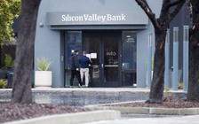 Cú sốc cho giới khởi nghiệp ở Mỹ