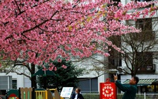 Tin Covid ngày 13.3: Nhật Bản thay đổi khuyến nghị về đeo khẩu trang