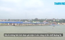 Hai cảng cá lớn nhất Quảng Trị tiếp tục ngừng trệ vì thiếu hệ thống nước thải