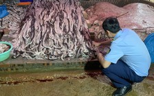 Hưng Yên: Tiêu hủy 1,6 tấn da trâu tươi không rõ nguồn gốc