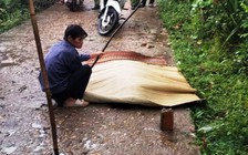 Truy tìm phương tiện tông chết người đàn ông lúc rạng sáng