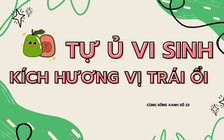 Cùng sống xanh số 23: Tạo hương vị đặc trưng cho trái ổi nhờ chăm bằng vi sinh tự ủ