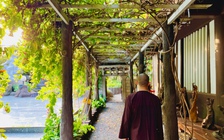 Ghé thăm tu viện mát lành tràn ngập cây xanh: nơi yêu từng ngọn cỏ, hơi thở