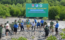 Thanh niên trồng 3.000 cây đước tại Mũi Cà Mau