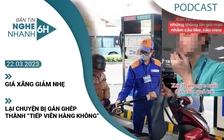 Nghe nhanh 6h: Khổ vì bị gán ghép thành ‘tiếp viên hàng không’ | Giá xăng giảm nhẹ