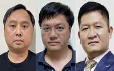 Chủ tịch Công ty Louis Holdings và chứng khoán Trí Việt chuẩn bị hầu tòa