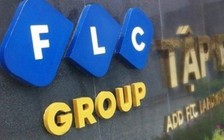 Tập đoàn FLC tiếp tục kiến nghị sớm được cho cổ phiếu giao dịch trở lại