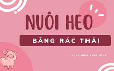 Cùng sống xanh số 24: Thoát khỏi dịch tả lợn châu Phi nhờ nuôi heo bằng rác thải