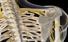 Ghép dây thần kinh giúp người liệt cánh tay cử động gần như bình thường
