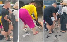 Bình Dương: Xác minh vụ một phụ nữ bị đánh, cắt tóc, lột đồ giữa đường