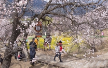 Tỉnh 'nhà giàu' Trung Quốc tặng tiền cho công ty du lịch hút khách quốc tế