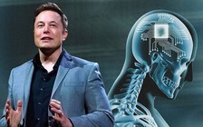 Có gì trong lá thư kêu gọi ngừng phát triển AI mà Elon Musk đã ký?