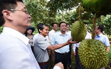 'Sầu riêng Việt Nam không sợ sầu riêng Trung Quốc'