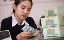 Giá USD hôm nay 7.3.2023: Ngân hàng đồng loạt giảm mạnh