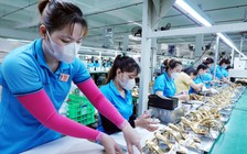 Thủ tướng sẽ giao thành viên Chính phủ làm việc từng địa phương, gỡ khó doanh nghiệp