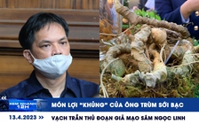 Xem nhanh 12h: Vạch trần thủ đoạn giả mạo sâm Ngọc Linh | Món lợi ‘khủng’ của ông trùm sới bạc