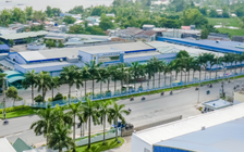 Cổ phiếu 'ông lớn' cá tra 2.500 đồng, nhà nước muốn thoái vốn gấp 10 lần