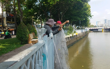 Đánh bắt cá kiểu tận diệt ở kênh Nhiêu Lộc - Thị Nghè TP.HCM