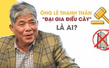 Ông Lê Thanh Thản bị cáo buộc lừa dối, hưởng lợi bất chính 481 tỉ đồng