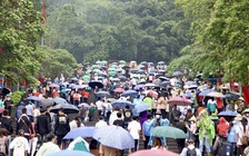 Dòng người đội mưa về đền Hùng dâng hương