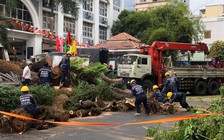 Bệnh viện Nhi đồng 2 TP.HCM thông tin tình hình sức khỏe học sinh bị cây đè