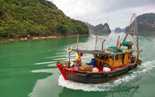 Kỳ thú vịnh Bái Tử Long