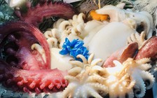 Vì sao người Nhật thích mực và bạch tuộc Việt Nam?